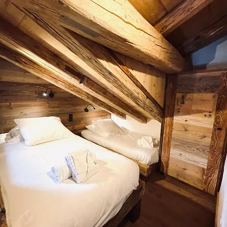 Montagne 6 Personnes 100 M2 Champagny En Vanoise Sud *